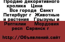 Продаю декоративного кролика › Цена ­ 500 - Все города, Санкт-Петербург г. Животные и растения » Грызуны и Рептилии   . Мордовия респ.,Саранск г.